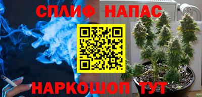 твердый Кинель