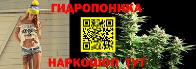 винт Кингисепп