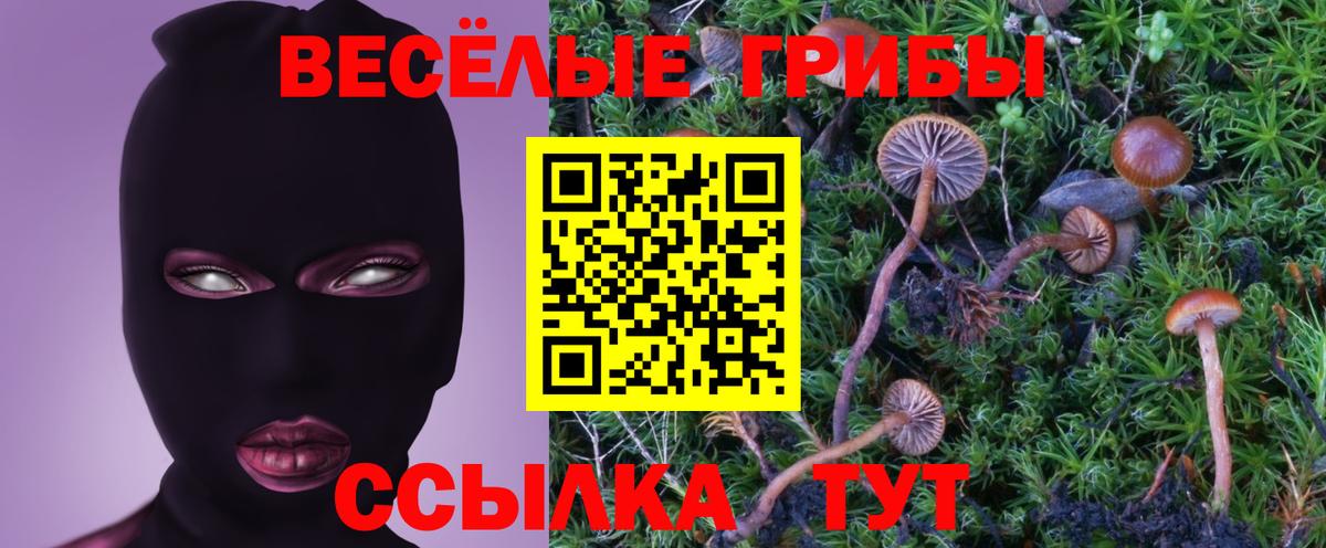 Галлюциногенные грибы Magic Shrooms  Вход с VPN  Красноярск  Галлюциногенные грибы Psilocybine cubensis 